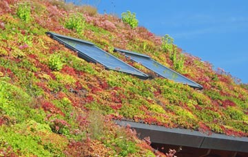 Braes Of Ullapool living roof systems