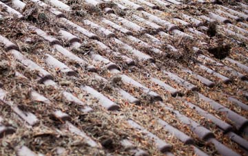 Braes Of Ullapool roof cleaning companies