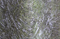 Braes Of Ullapool fibreglass roof work